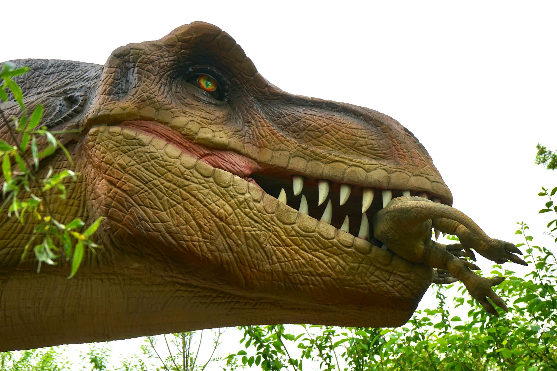 ¿Eres un Banco o un Dinosaurio? Cómo la IA Está Redibujando el Mapa Financiero en Latinoamérica